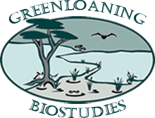 Greenloaning Biostudies